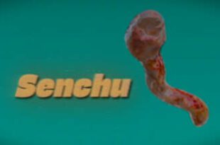 Senchu-Torrent-Download