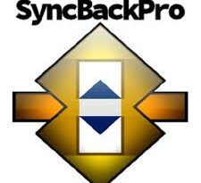 SyncBack Pro 11.3.56 + Portable